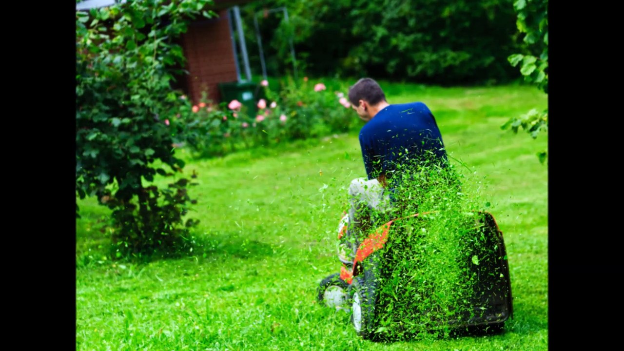 ADCF Lawn Services - (772) 501-9219