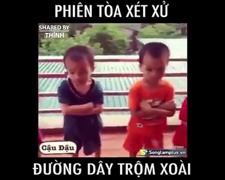 Tội cho 4 tên xoài tặc mặt nghệt ra khi Tòa tuyên án