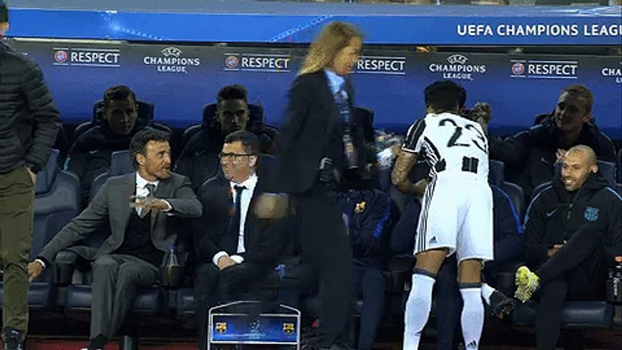 bench dani