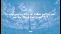 L’énergie renouvelable, un secteur toujours plus porteur avec un taux d’emploi record en 2016