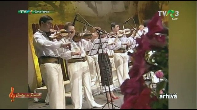 Vasilica Dinu - Cine n-are niciun dor