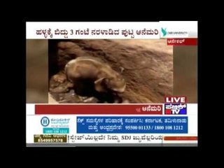 3 Month Old Elephant Struggles To Come Out Of A Pit In Male Mahadeshwara Reserve Forest