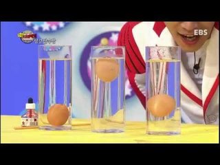 Why - 최고다! 호기심딱지 - 달걀 잠수함