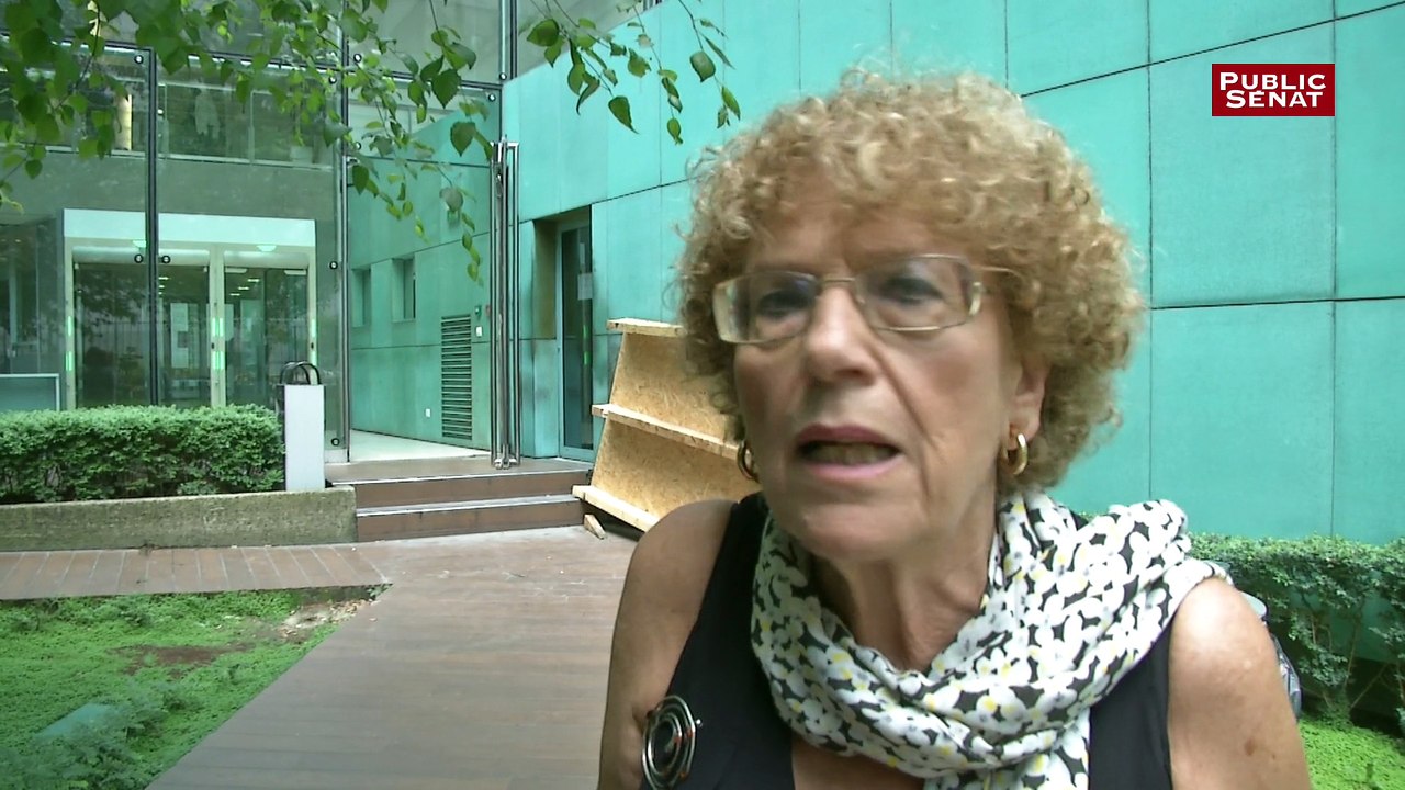Amy Dahan : "Nicolas Hulot est très engagé"