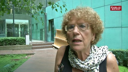 Amy Dahan : "Nicolas Hulot est très engagé"