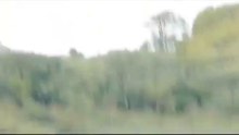 Unicorn sighting caugh
