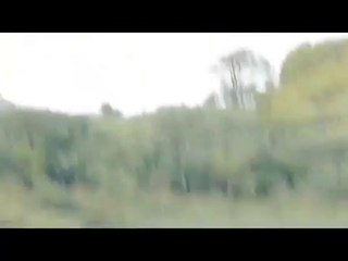 Unicorn sighting caugh