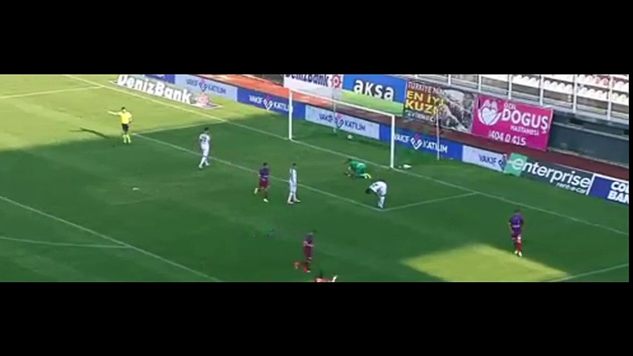 erm-gol2
