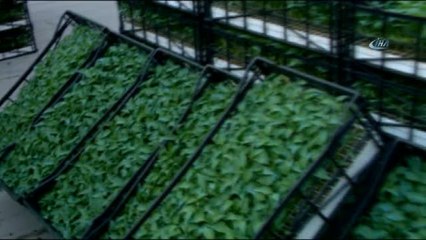 Bursa'da Dünya Pazarlarına Özel Üretim