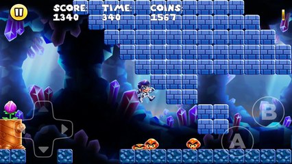 Ladybug  Adventures  / Level 12 - Nivel 12