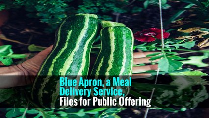 Blue Apron, a Meal Delivery Service, Files for Public Offering -