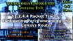 9.2.4.4 - 11.2.4.4 Packet Tracer - Configuring Port Forwarding on a Linksys Router