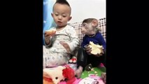 animals - Hayvanlar Alemi - Monkey funny 7 - Funny video