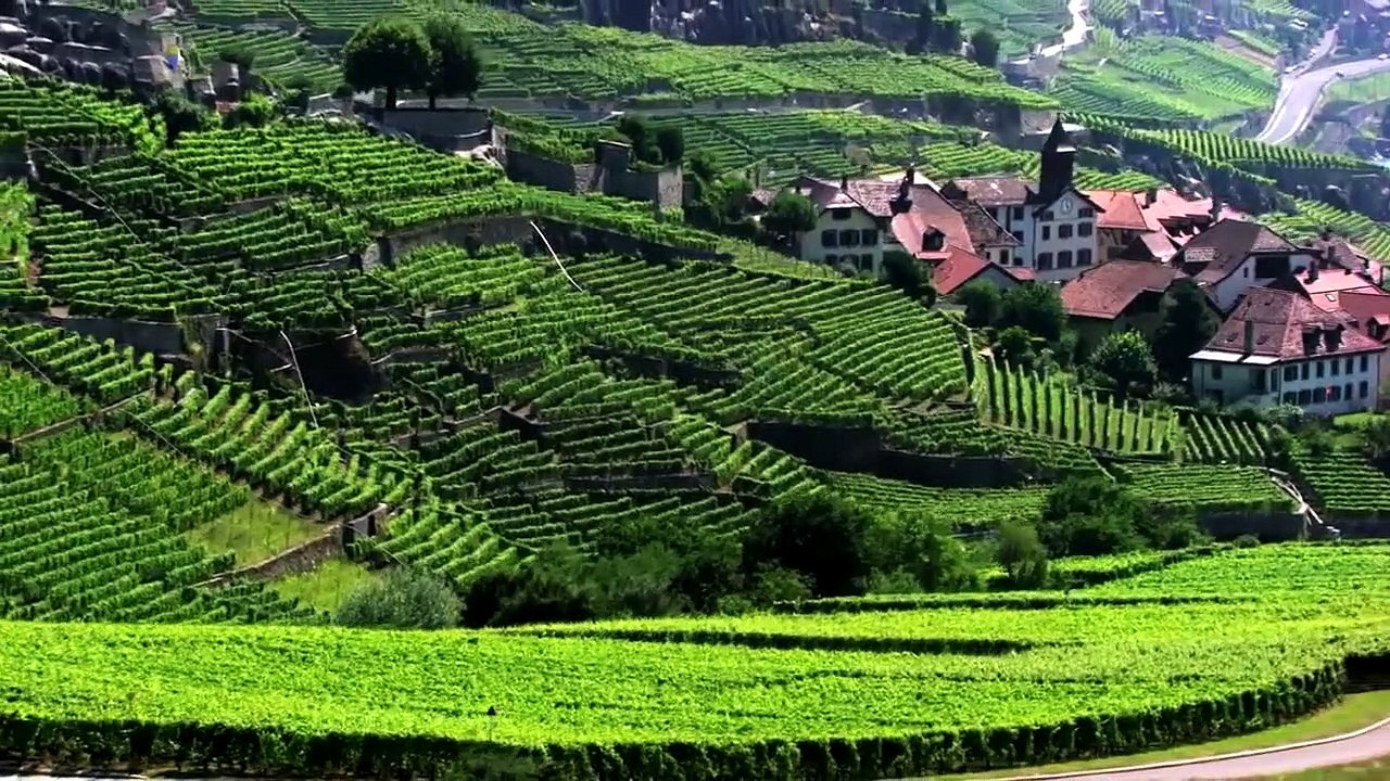 Vassal a lausanne