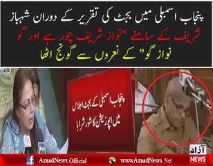 Go Nawaz Go In Front Of Shahbaz Sharif In Punjab Assembly