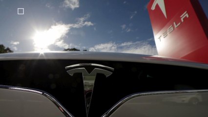 Tesla Fires Female Engineer Who Alleged Sexual Harassment