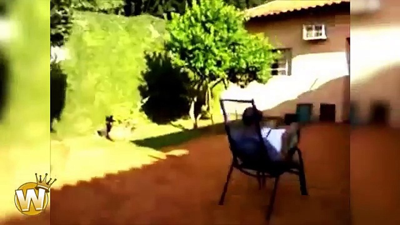 very funny video