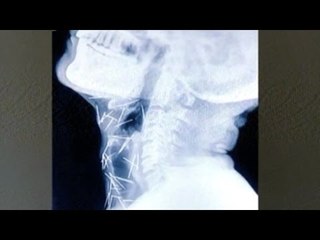 News Cafe | Top Stories | May 3rd, 2017 | 8:00 AM