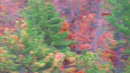 Çanakkale'de Kuruyan Ormanlar Yetkilileri Harekete Geçirdi Ek