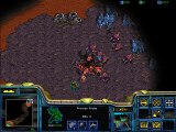 StarCraft - Binary Burghs - Protoss vs. Zerg