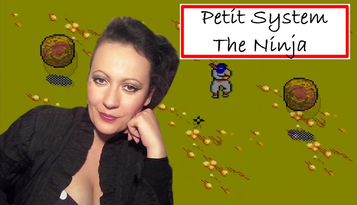Petit System - The Ninja sur Master System