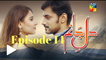 Dil e Jaanam Episode 14 Hum TV Drama - 2 June 2017