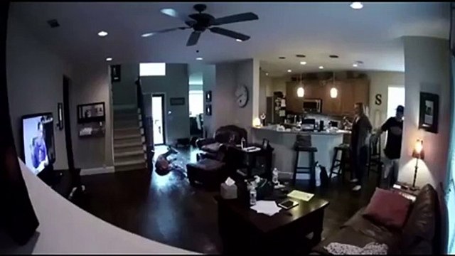 Un intrus dans la maison