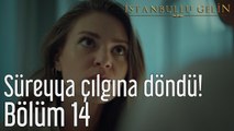 İstanbullu Gelin 14. Bölüm Süreyya Çılgına Döndü!