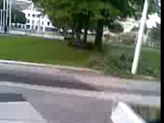 mes sosse en plein delire