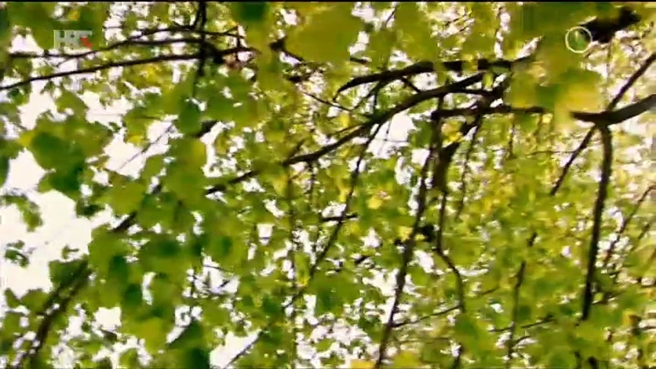 Hanna, slusaj svoje srce 080