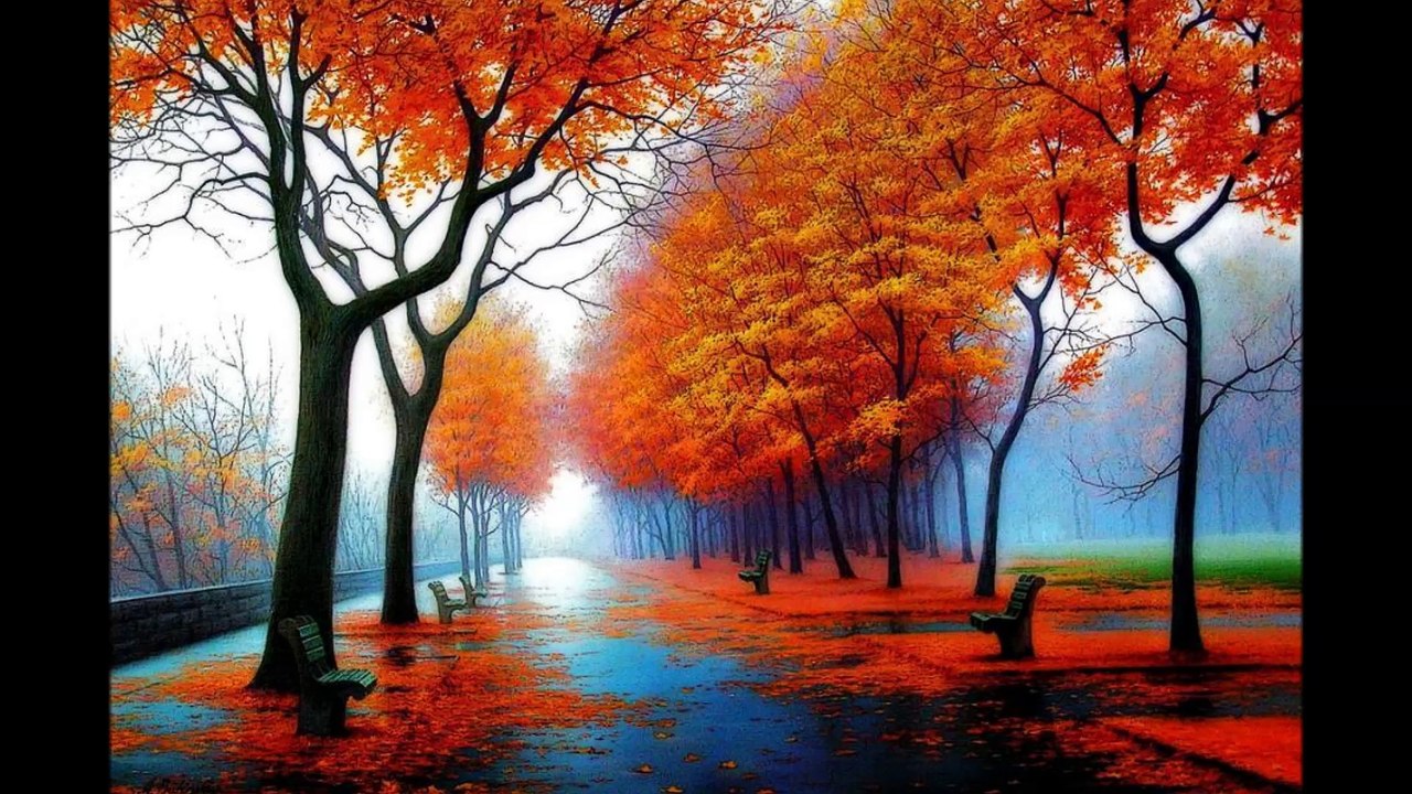 DREAM - PAULA MORELEMBAUM