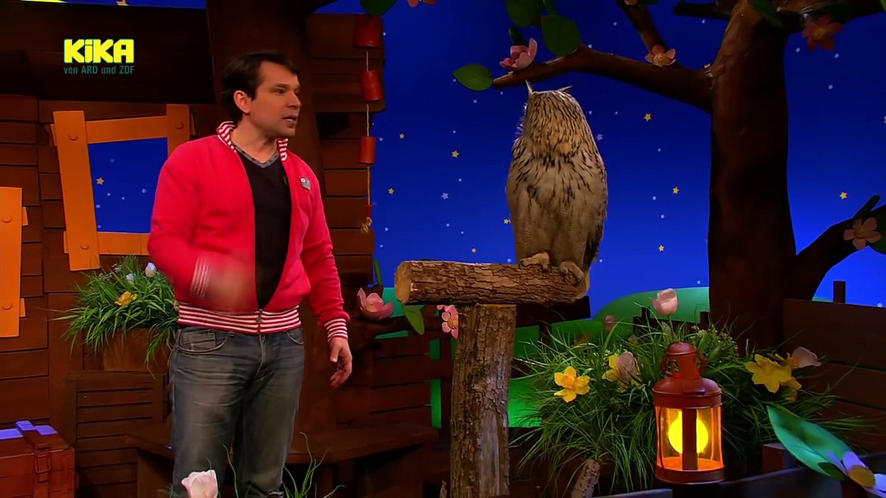 Baumhaus vom 11. Mai 2017 | Mehr auf KiKA.de