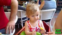İlk kez Limon Yiyen Bebekler 2017 (HD)  [Komik Bebek Videoları]