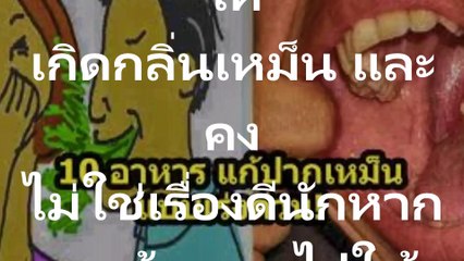 10 อาหาร แก้ ปากเหม็น แบบเร่งด่วน! รับรองกินแป๊บเดียว ปากหายเหม็นทันที!