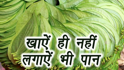 Betal leaves Skin Benefits, पान के पत्ते से निखारें त्वचा | Boldsky