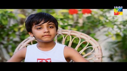 Mr Shamim Episode 106 Full 4 June 2017 HUM TV Drama