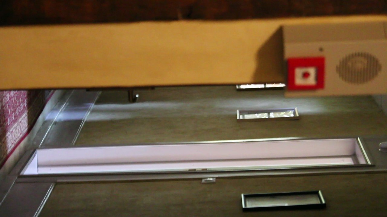 MVI_6239