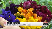 Edible flowers are organic and rich in nutrients