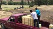 Robo de combustible en México asciende a unos USD 2.410 millones