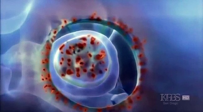 The Spanish Conquest Of The Incas Documentary - YouTube