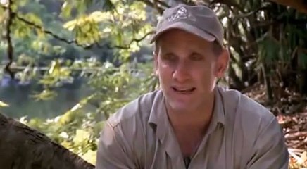 EVOLUTION EXTINCTION - History Documentary