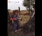 Hayvanlar Alemi - Monkey funny 5 - Funny video