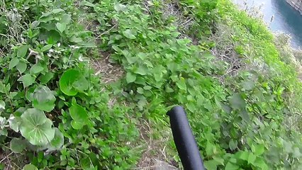 201704【伊豆の地磯】松崎町『室崎』　前編　ノーカット磯道動画