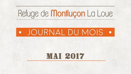 Un mois au refuge : mai 2017