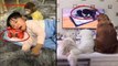 ♥Cute Dogs, Cats And Monkeys Compilation 2017♥ [HD] #4 - Hayvanlar Alemi