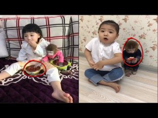 Funny And Cute Animals Videos Compilation 2017 [HD] 1 - Hayvanlar Alemi
