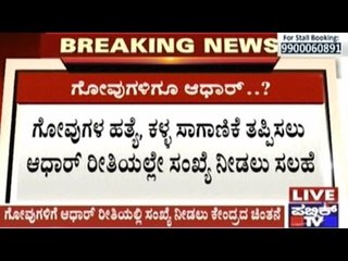 Central Govt. Plans Aadhar Type Numbering Even For Cattle