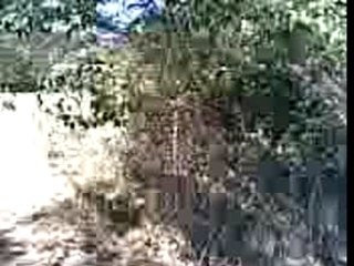 pocket bike entre pote 3