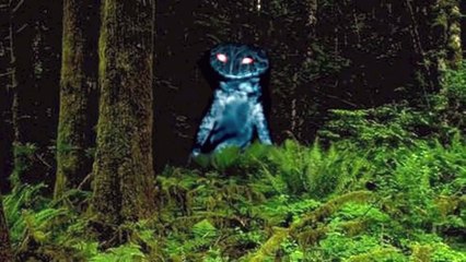 Unknown Creatures caught on Cameragfd