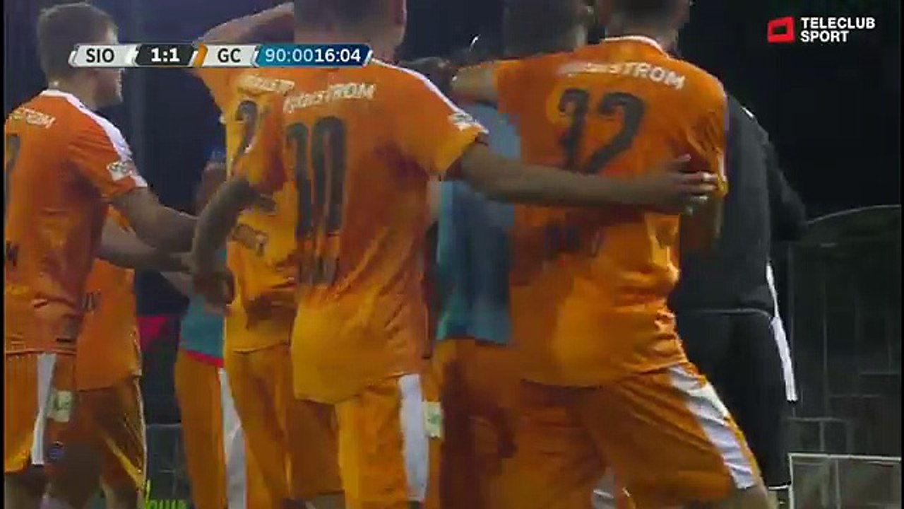 Sion 1:1 Grasshoppers (Swiss Super League 2. Juni 2017 )